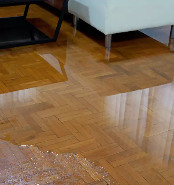 Trusted Emergency Water Restoration Company in Riverside, MO