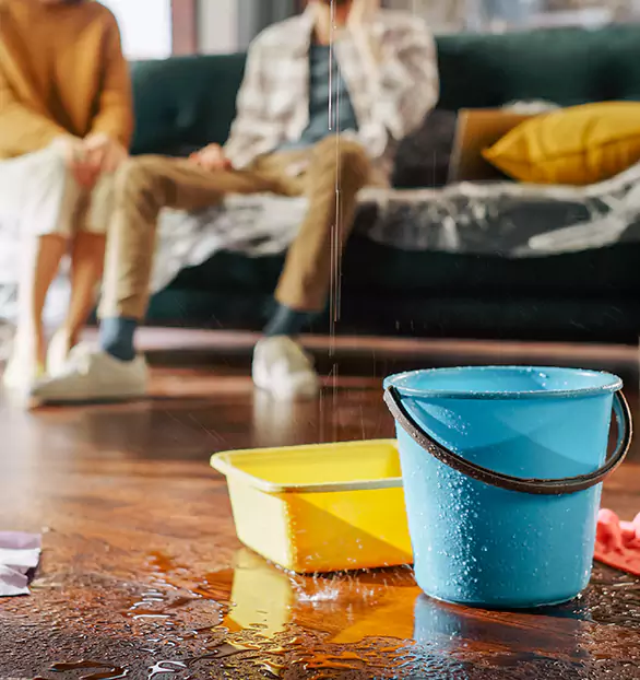 Trusted Water Mitigation Company in Riverside, MO